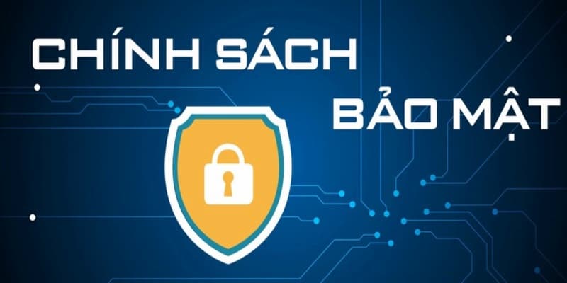 Khám Phá Chính Sách Bảo Mật Bong88 Thật Chi Tiết Và Rõ Nhất 2 Tổng hợp các điều khoản có trong chính sách bảo mật Bong88