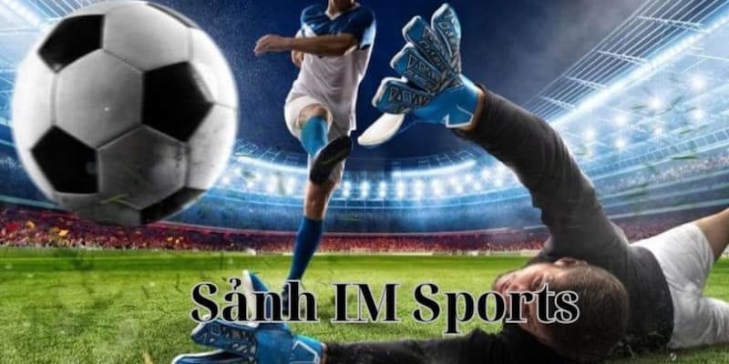 IM Sports Bong88 - Trải Nghiệm Thế Giới Thể Thao Không Giới Hạn 2 Tổng quan đôi nét về IM Sports Bong88