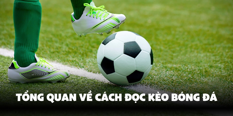 Cách Đọc Kèo Bóng Đá Bong88 - Từ Cơ Bản Đến Nâng Cao 2 Tìm hiểu cách đọc kèo bóng đá