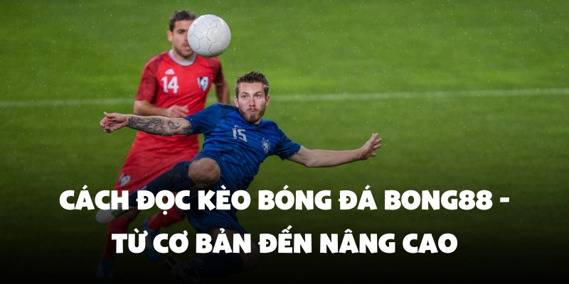 Cách Đọc Kèo Bóng Đá Bong88 - Từ Cơ Bản Đến Nâng Cao 1 cach doc keo bong da