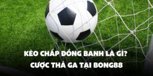 Lợi thế và nhược điểm riêng của từng loại kèo